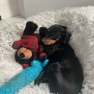 Meet your Posher, Brianna